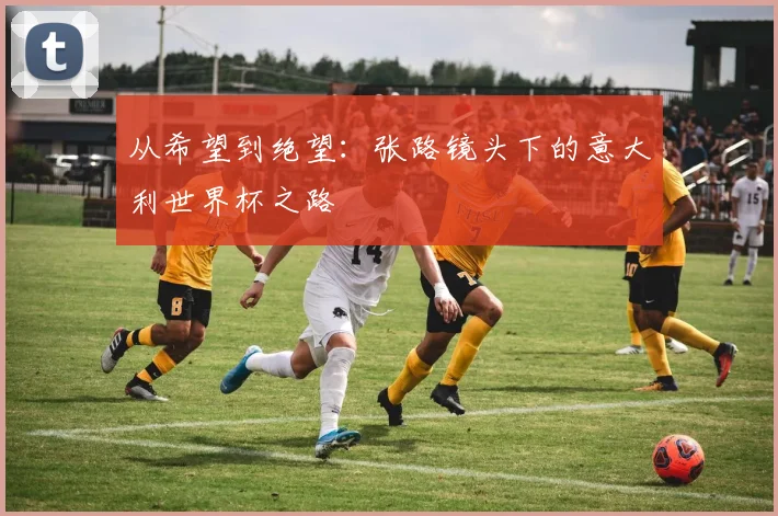 从希望到绝望：张路镜头下的意大利世界杯之路