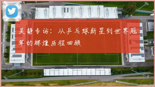 吴静专访：从乒乓球新星到世界冠军的辉煌历程回顾