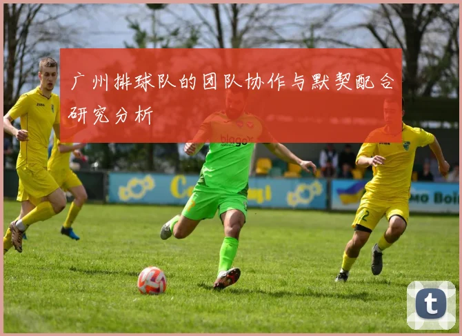 广州排球队的团队协作与默契配合研究分析